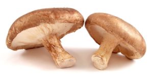 Shiitake gomba