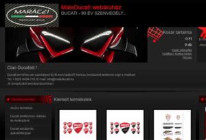 Viltor webáruház készítés