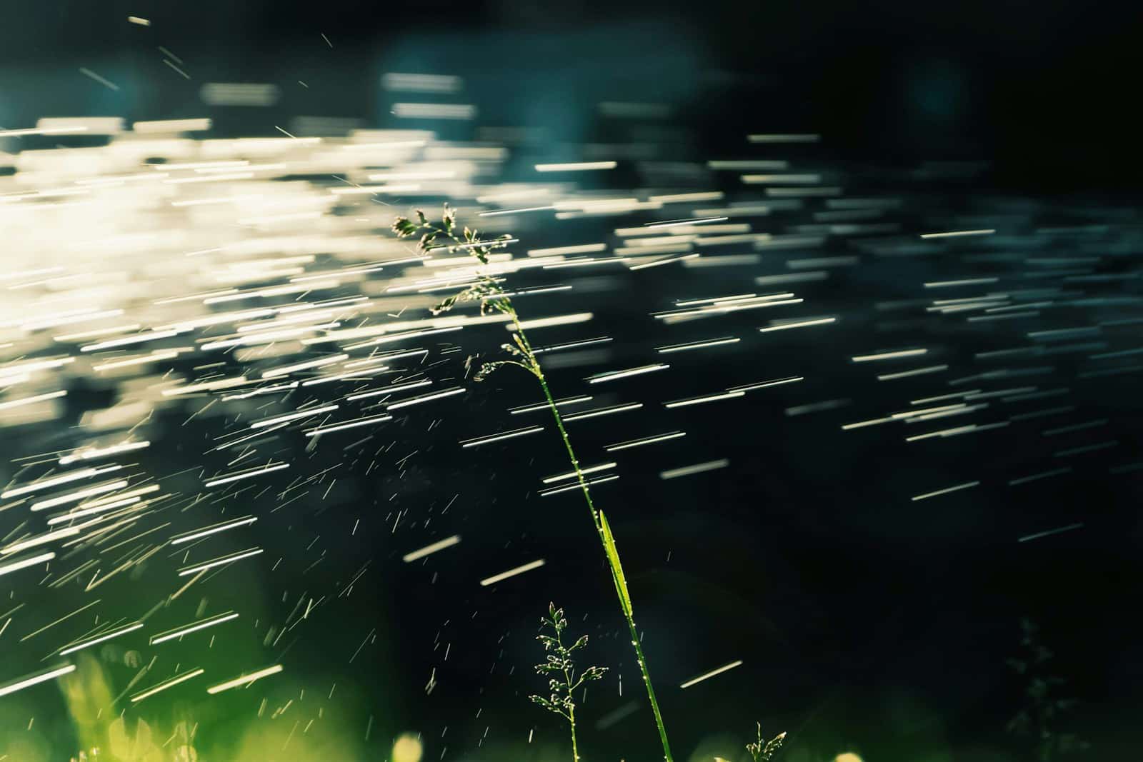 Öntözőrendszer Kecskemét és környékén az Esőmestertől